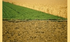 Carbon capture in soil could reduce CO2 emissions