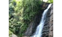Community involvement with forest management can boost biodiversity