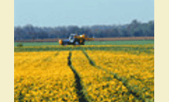 Promoting bioenergy use: policy approaches