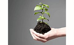 Healthy soils for a healthy planet