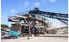 Lippmann - Custom Portable Plants