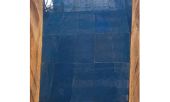 Buffalo - Custom Liners