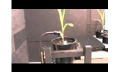 WIWAM line Video