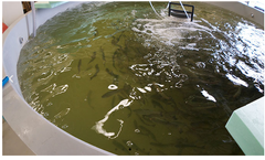 Dura-Tech - Fiberglass Circular Tank