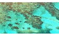 Fledermaus - Version 4D - Geo-Spatial Processing and Analysis Tool