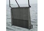 Atlantic Oyster Drill Collector