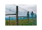 Vineyard Netting