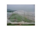 Thrips - Insect Netting