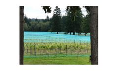 Overhead Crop Netting