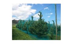 Fruit Tree Netting