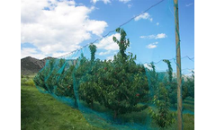 SNS - Cherry Tree Bird Netting