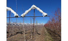 SNS - Fruit and Vegetable Crop Hail Protection Netting