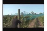 Overhead Netting Video