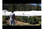 Hail Netting Video