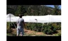 Hail Netting Video