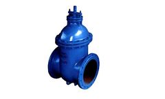 Cast Iron Armature - Model 251 Series - Gate Valve