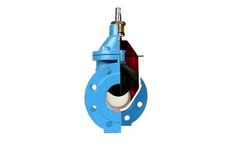 Cast Iron Armature - Model 311 Series - Gate Valve with Rubber Wedge
