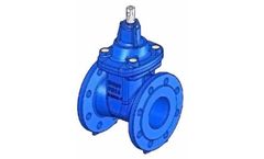 Cast Iron Armature - Model 317 Series - Gate Valve with Rubber Wedge