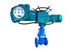 Proline - Motorized Gate Valve