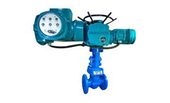 Proline - Motorized Gate Valve