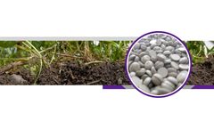 Sulfert - Bentonite Sulphur