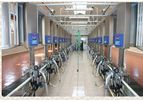 Farmtec - Milking Cluster