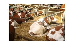 Farmtec - Free Stalls