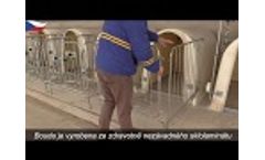 Calf Housing Video