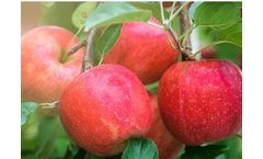 Harvista - Pre-Harvest Technology