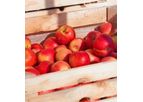 ActiMist - Pome Fruit Storage Operators Technology