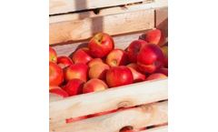 ActiMist - Pome Fruit Storage Operators Technology