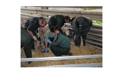 CPD For Vets