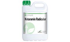 Daymsa Naturamin Radicular - Amino Acids Promoting Root