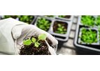 Research & Development Services