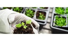 Research & Development Services