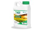 SuperFifty - Model Prime - Plant Oxidative Stress Inhibitor