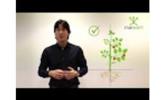 About us, Manvert - Video