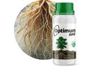 Optimum Arbuscular Mycorrhizal Fungi  (AMF)