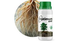 Optimum Arbuscular Mycorrhizal Fungi  (AMF)
