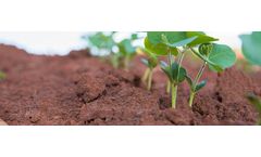 Cytozyme - Seed Treatments