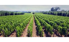 Cytozyme - Fertilizer Treatments
