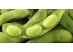 Cytozyme - Specialized Crop Treatment Formulations