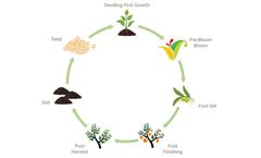Cytozyme - Soil Management Solutions