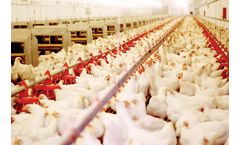 Cytozyme - Naturally Derived Feed Additives