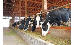 Cytozyme - Organic Waste Decomposition Enhancers