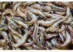 Cytozyme - Naturally Derived Feed Additives