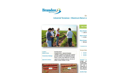 Industrial Tomatoes – Maximum Return on Investment  - Crop Trial Bulletin