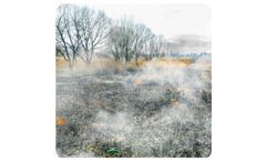 Wildfire Smoke and Headaches: How it is Related?