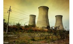 Effect of air pollution on plants and animals