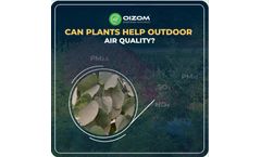 Can Plants Help Outdoor Air Quality?